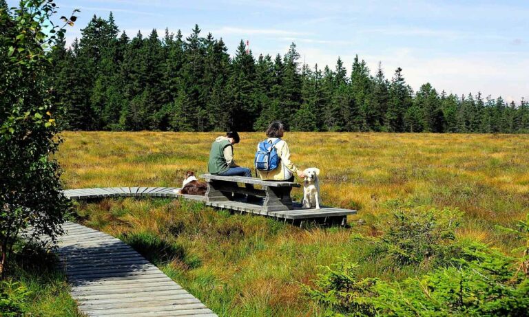 csm__gs_Torfhausmoor__1__8cbaf5c285